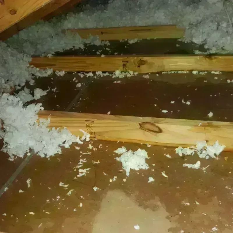 Attic Water Damage in White Settlement, TX